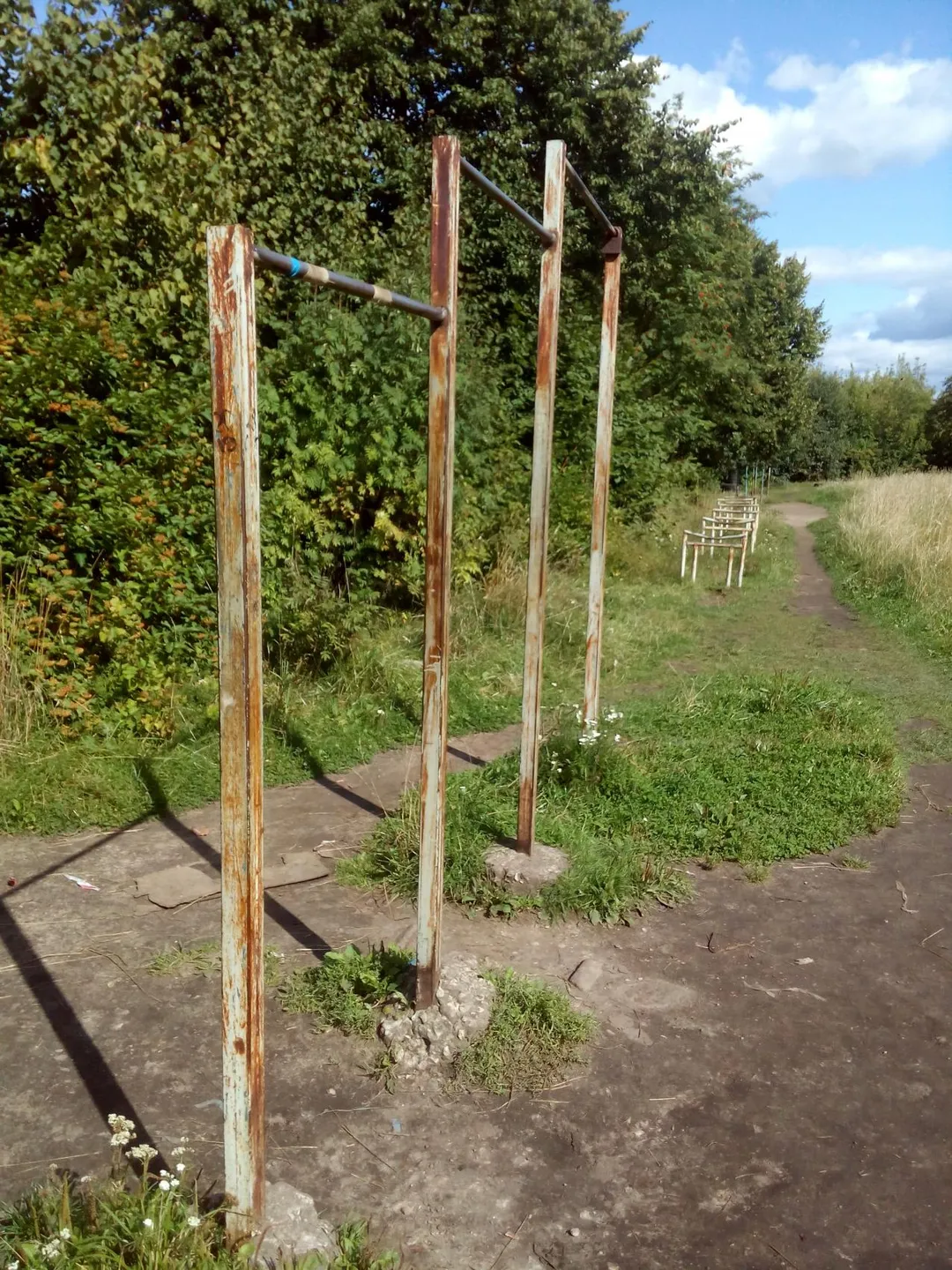 Турник на площадке Calisthenics Park at Электрон, городской округ Псков – фото 1 из 9