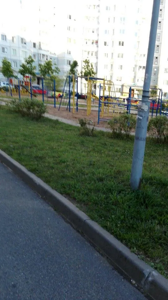 Pull Up Bar at Calisthenics Park at Нёманская вуліца, Мінск – photo 1 of 1