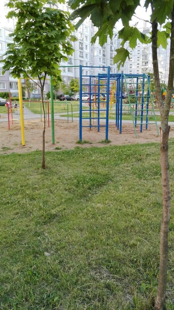 Sbarra per trazioni presso Calisthenics Park at Нёманская вуліца, Мінск #wp3451 – foto 1 di 1