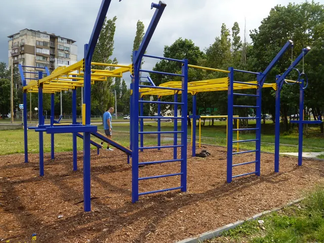 Calisthenics Park at бул. Царица Йоанна, София
