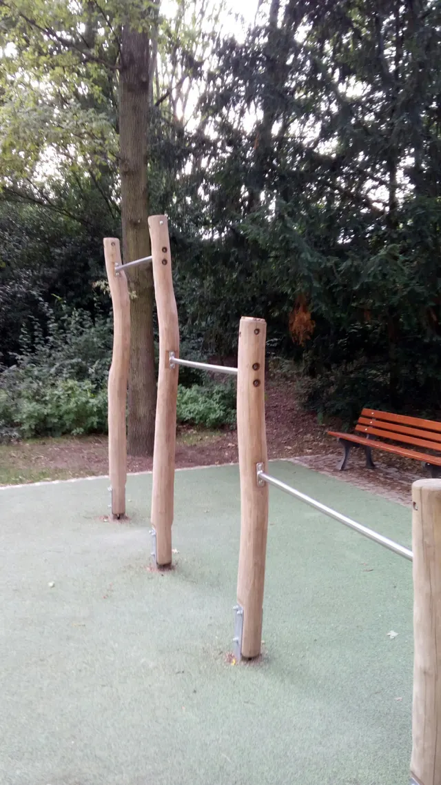 Calisthenics Park at Miquelallee, Frankfurt am Main