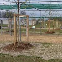 Calisthenics Park at Potenzgarten 10^-5, München - thumbnail 4