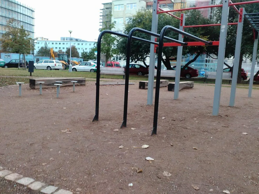 Bară de tracțiuni la Calisthenics Park at Björnsonův sad, Brno – fotografia 1 din 1