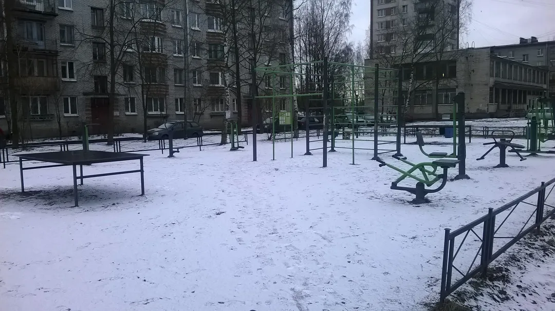 Air Skier at Calisthenics Park at бульвар Разведчика, Петергоф – photo 5 of 8
