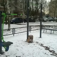 Calisthenics Park at бульвар Разведчика, Петергоф - thumbnail 8