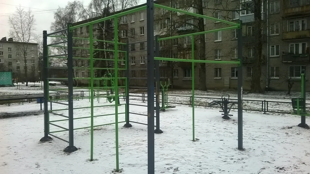 Monkey Bars at Calisthenics Park at бульвар Разведчика, Петергоф – photo 3 of 8
