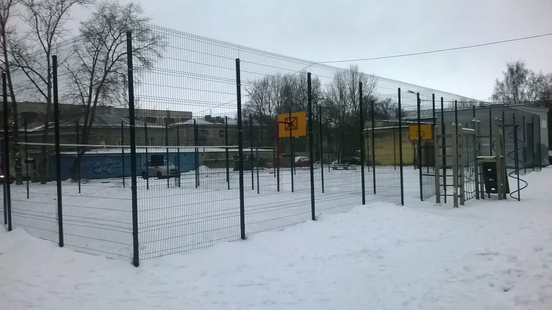 Parallel Gym Bars at Calisthenics Park at улица Аврова, Петергоф – photo 2 of 2