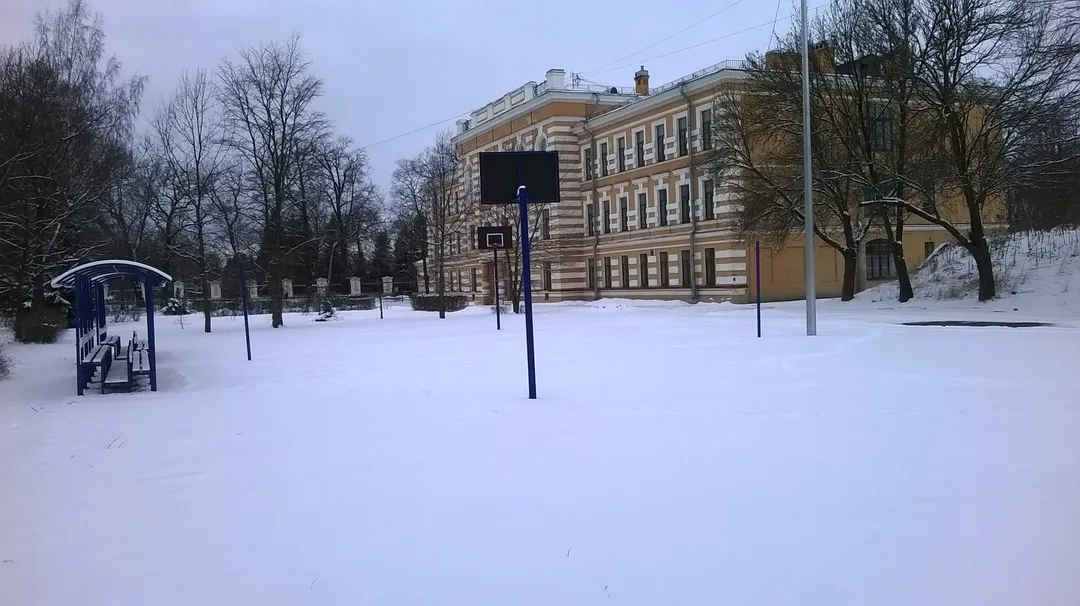 Pull Up Bar at Calisthenics Park at Санкт-Петербургский проспект, Петергоф – photo 4 of 4