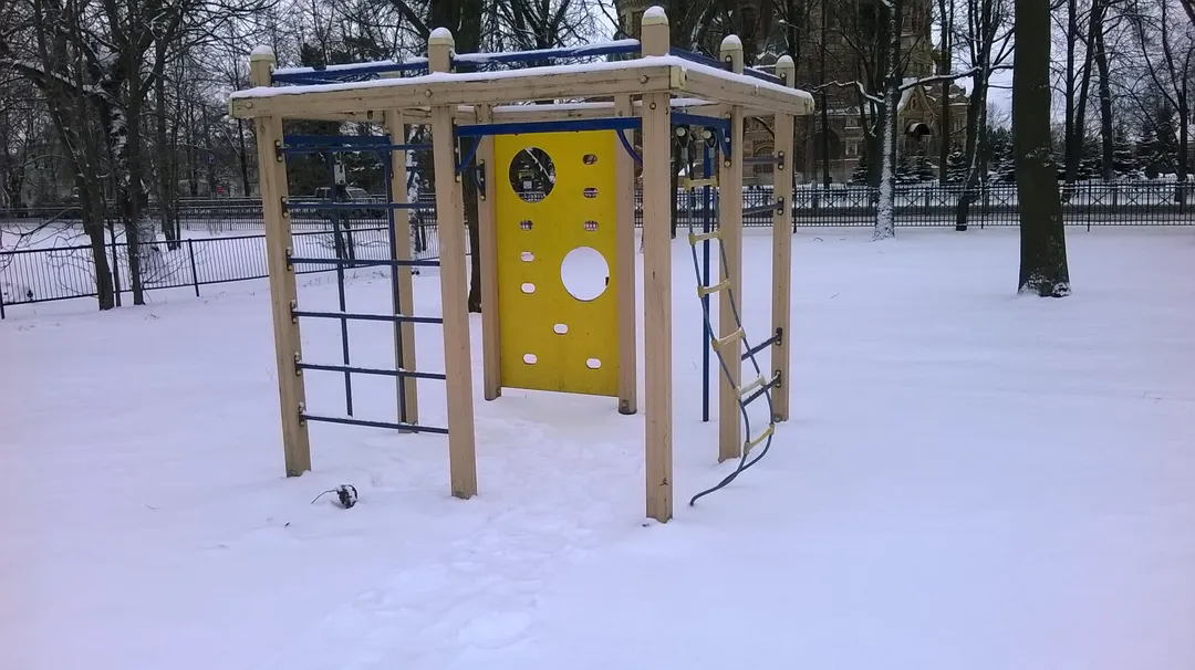 Parallel Gym Bars at Calisthenics Park at Санкт-Петербургский проспект, Петергоф – photo 2 of 4