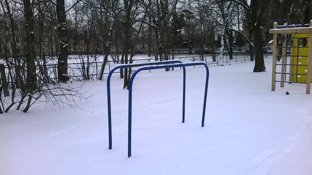 Wall Bars at Calisthenics Park at Санкт-Петербургский проспект, Петергоф – photo 3 of 4