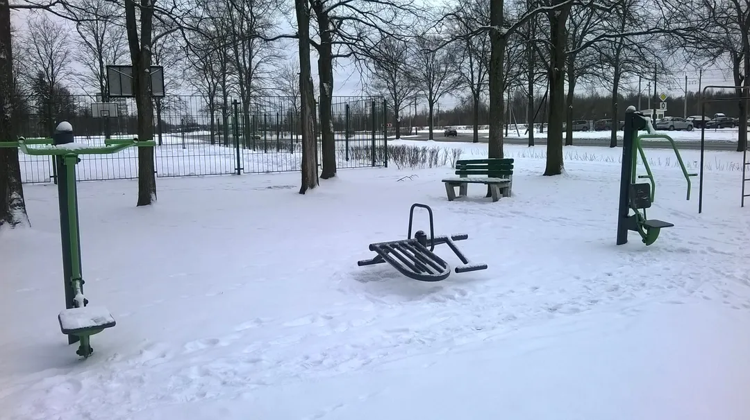 Sbarra per trazioni presso Calisthenics Park at Озерковая улица, Петергоф – foto 6 di 6