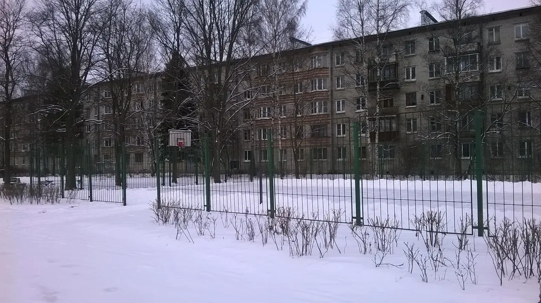 Parallele presso Calisthenics Park at Озерковая улица, Петергоф – foto 2 di 6