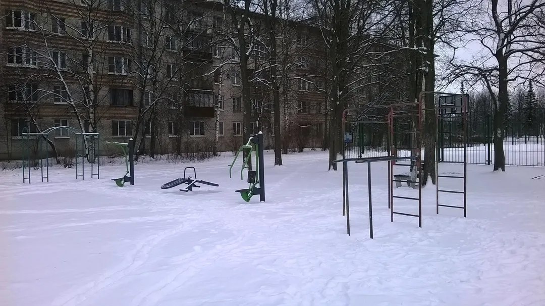 Monkey bar presso Calisthenics Park at Озерковая улица, Петергоф – foto 5 di 6