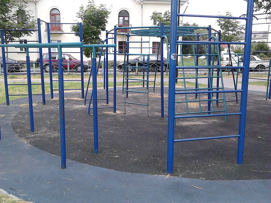 Шведська стінка на майданчику Calisthenics Park at вуліца Гастэлы, Мінск – фото 4 з 7