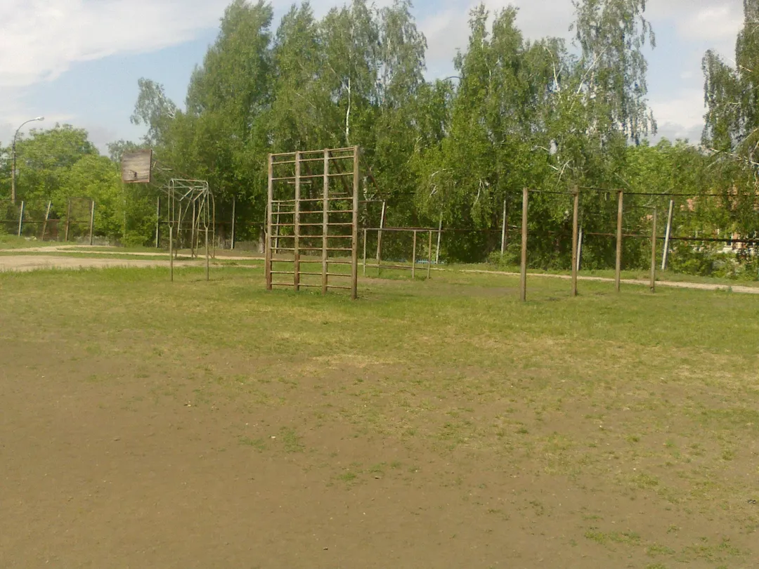 Barras Paralelas en Outdoor Gym in Raionul Șoldănești, Șestaci – foto 10 de 12
