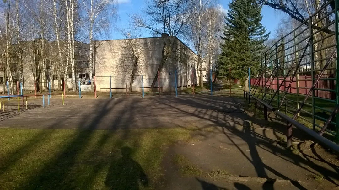 Spalliera presso Calisthenics Park at вуліца Рэпіна, Гродна – foto 4 di 5