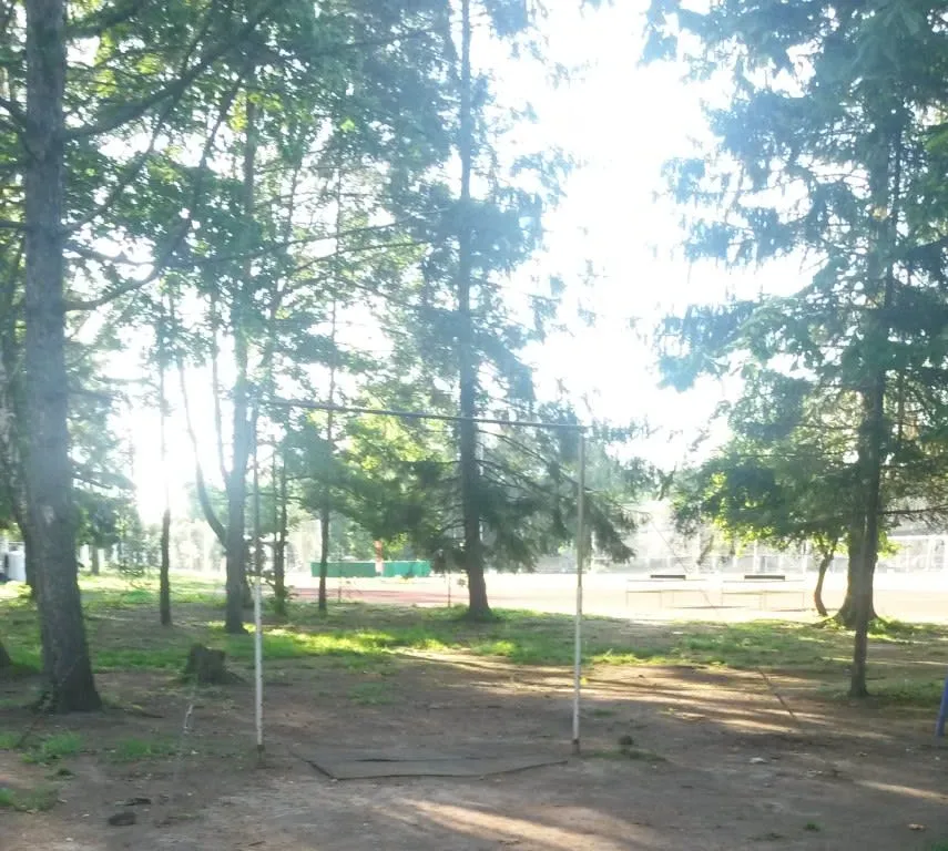 Monkey bar presso Calisthenics Park at Тулонская аллея, Кронштадт – foto 3 di 3