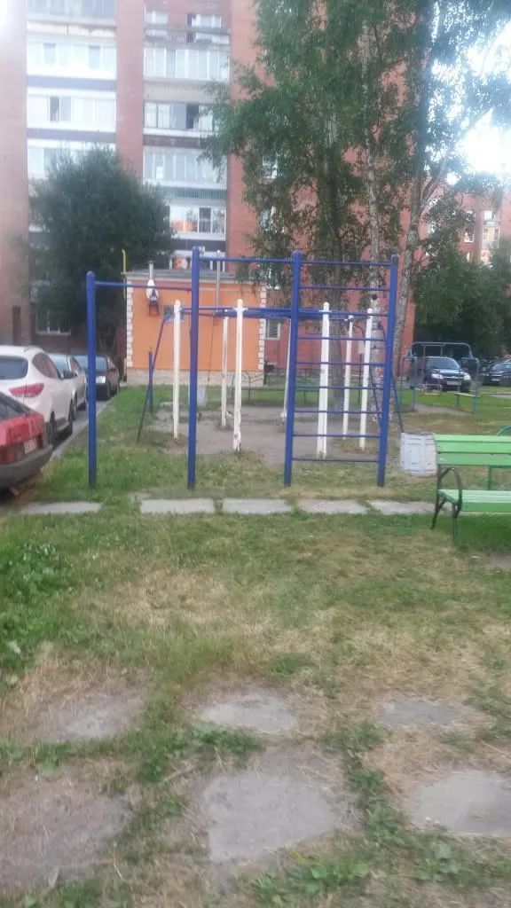 Spalliera presso Calisthenics Park at Кронштадтское шоссе, Кронштадт – foto 3 di 3