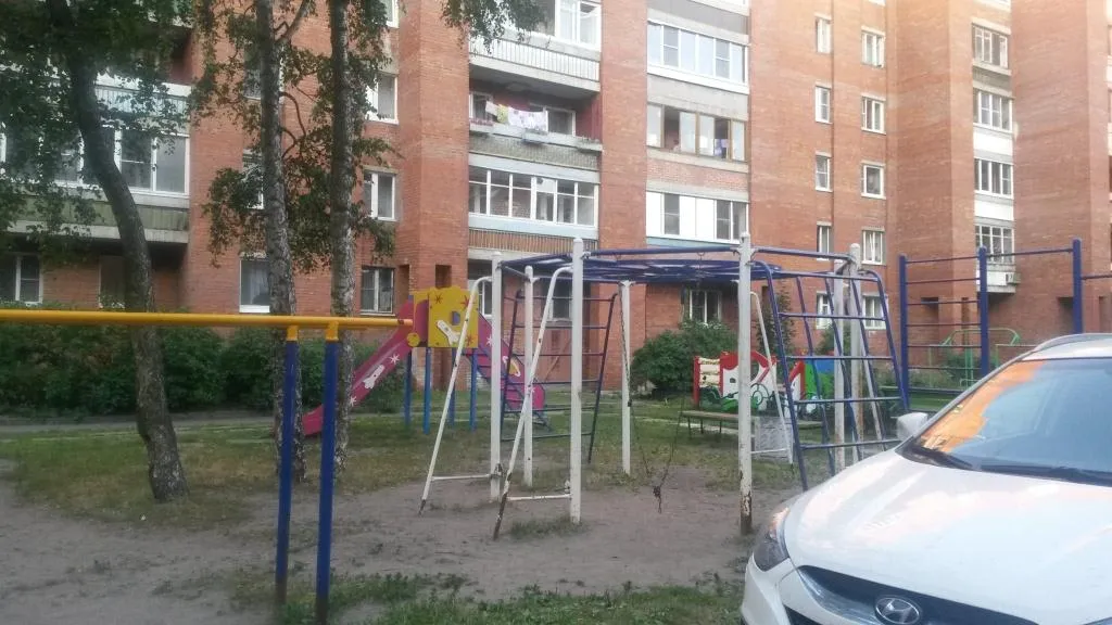 Parallele presso Calisthenics Park at Кронштадтское шоссе, Кронштадт – foto 2 di 3