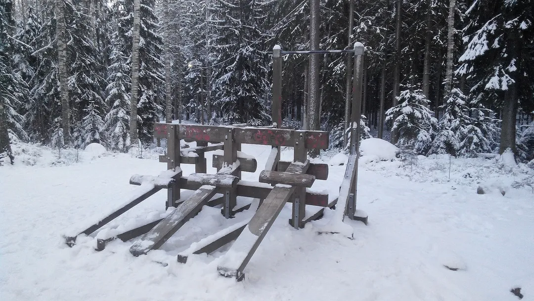 Bară de tracțiuni la Calisthenics Park at Leppäkorven kuntorata, Vantaa – fotografia 3 din 5