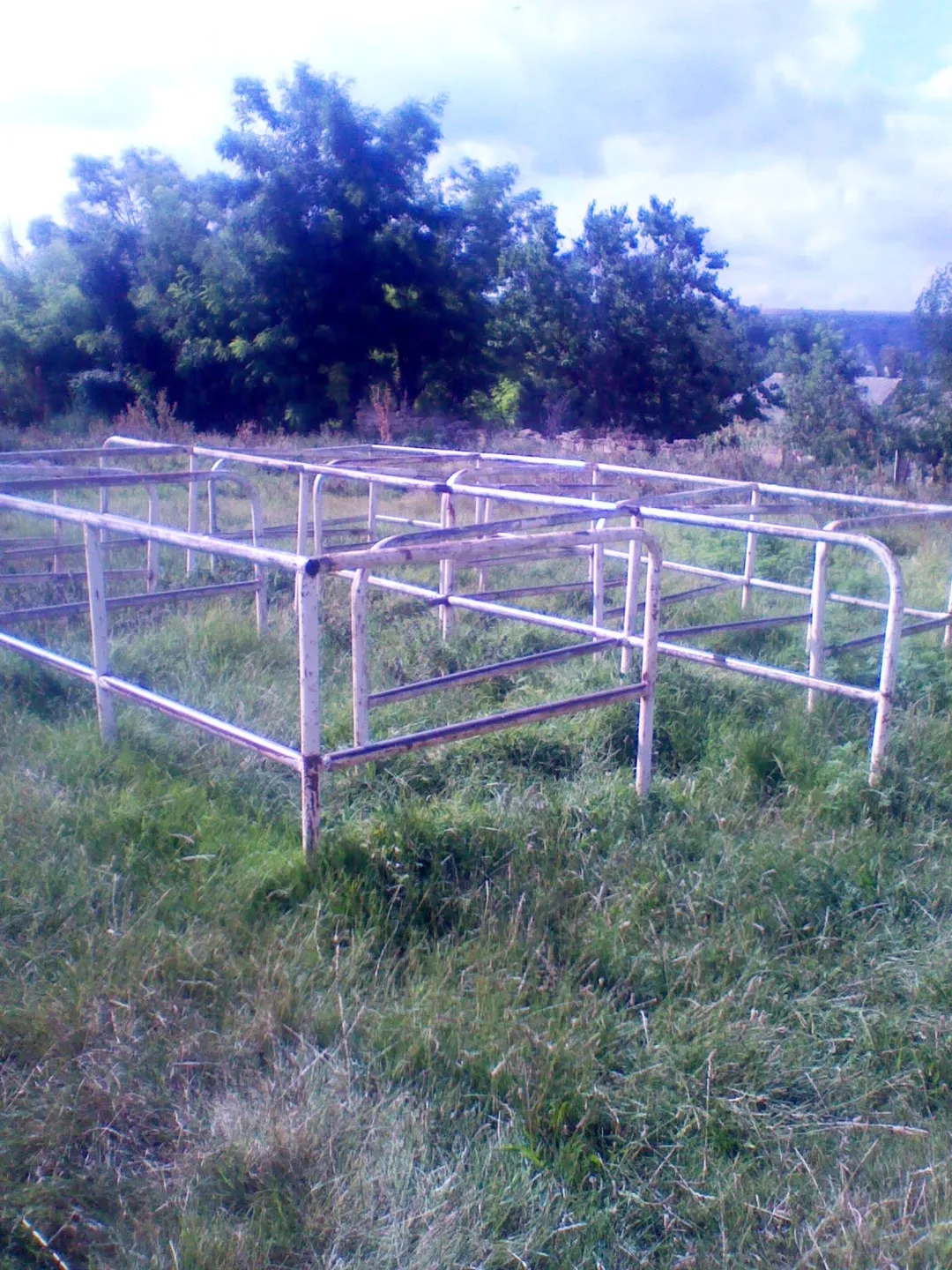 Espalier à Calisthenics Park at Strada Victoriei, Molovata Nouă – photo 4 sur 11