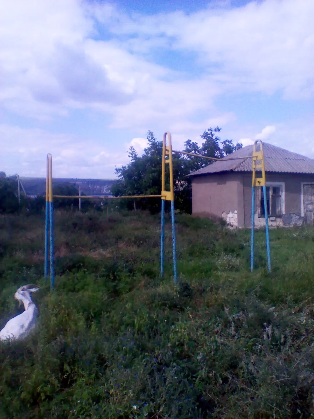 Barres de singe à Calisthenics Park at Strada Victoriei, Molovata Nouă – photo 7 sur 11