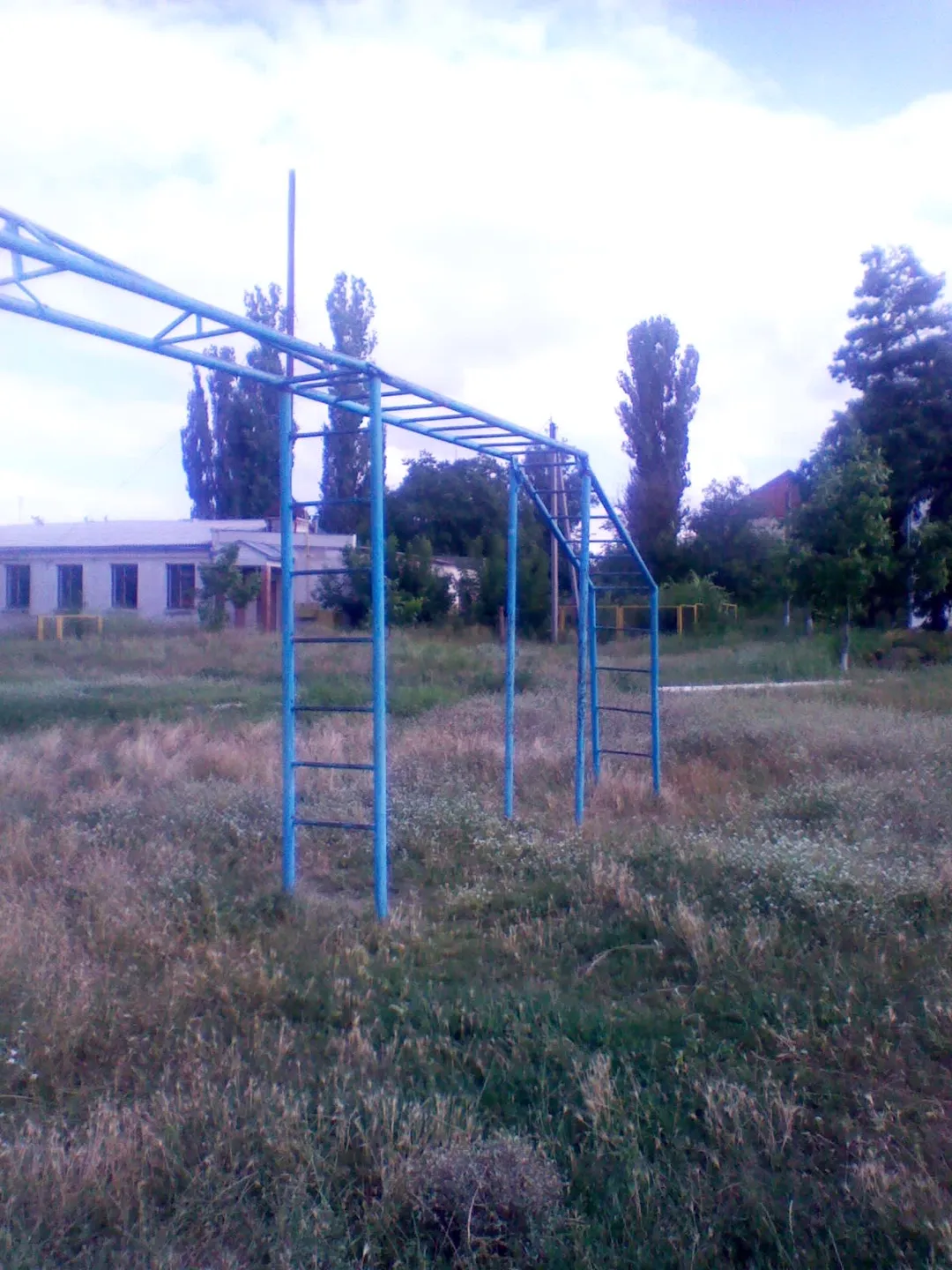 Espalier à Calisthenics Park at Strada Victoriei, Molovata Nouă – photo 8 sur 11