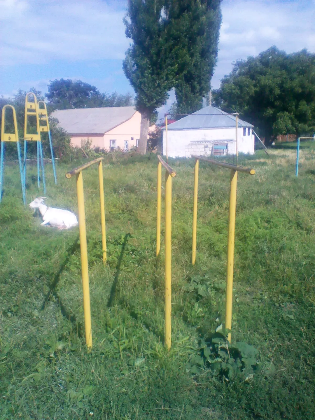 Barres de singe à Calisthenics Park at Strada Victoriei, Molovata Nouă – photo 3 sur 11