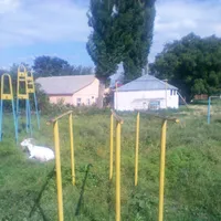 Calisthenics Park at Strada Victoriei, Molovata Nouă - thumbnail 3