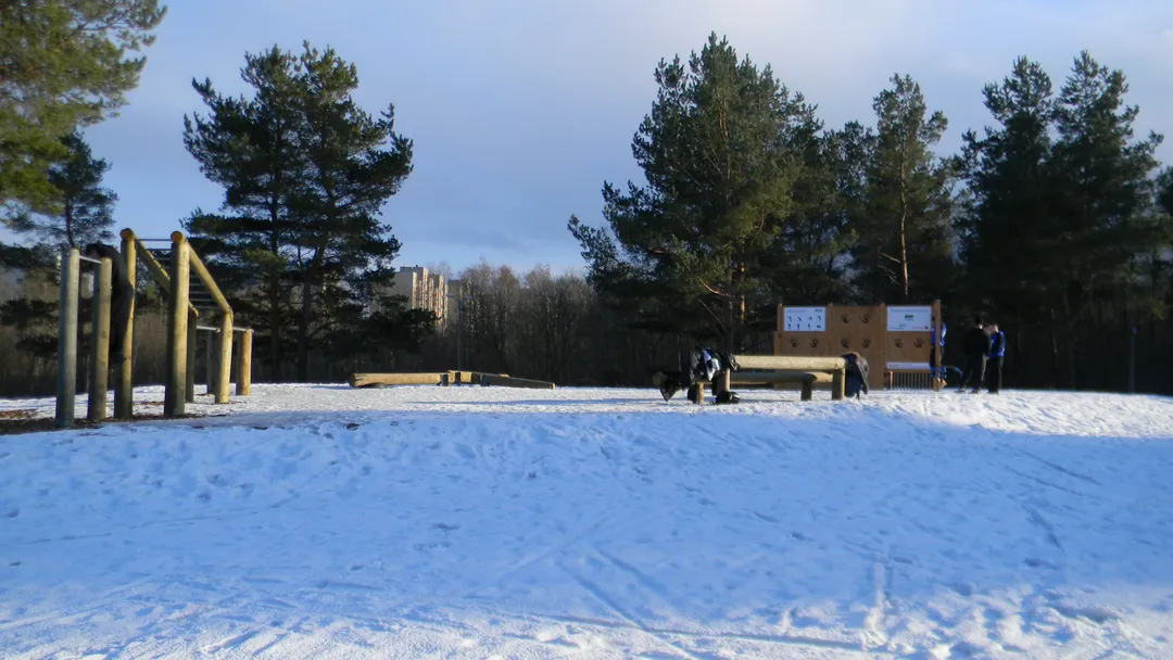 Bară de tracțiuni la Calisthenics Park at Jalgratta tee, Narva linn – fotografia 1 din 1