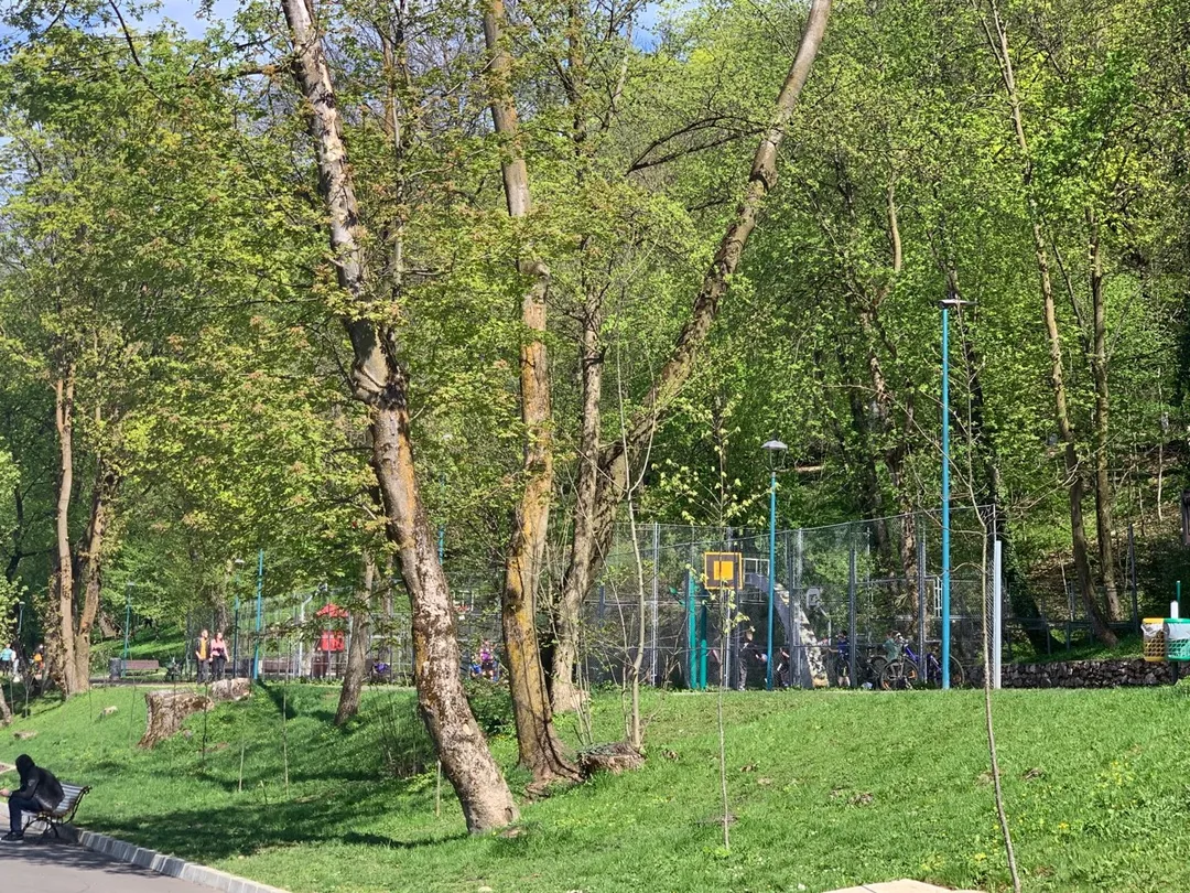 Wall Bars at Calisthenics Park at Aleea Tiberiu Brediceanu, Brașov #wp3540 – photo 4 of 4