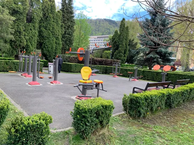 Calisthenics Park at DN1E, Brașov
