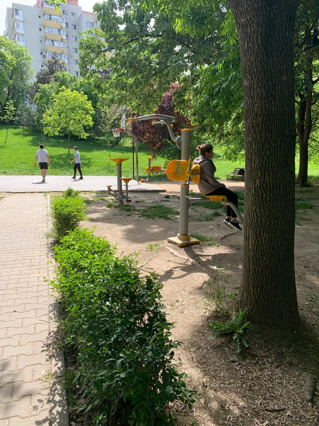 Pull Up Bar at Calisthenics Park at Strada Doamna Ghica, București – photo 1 of 2