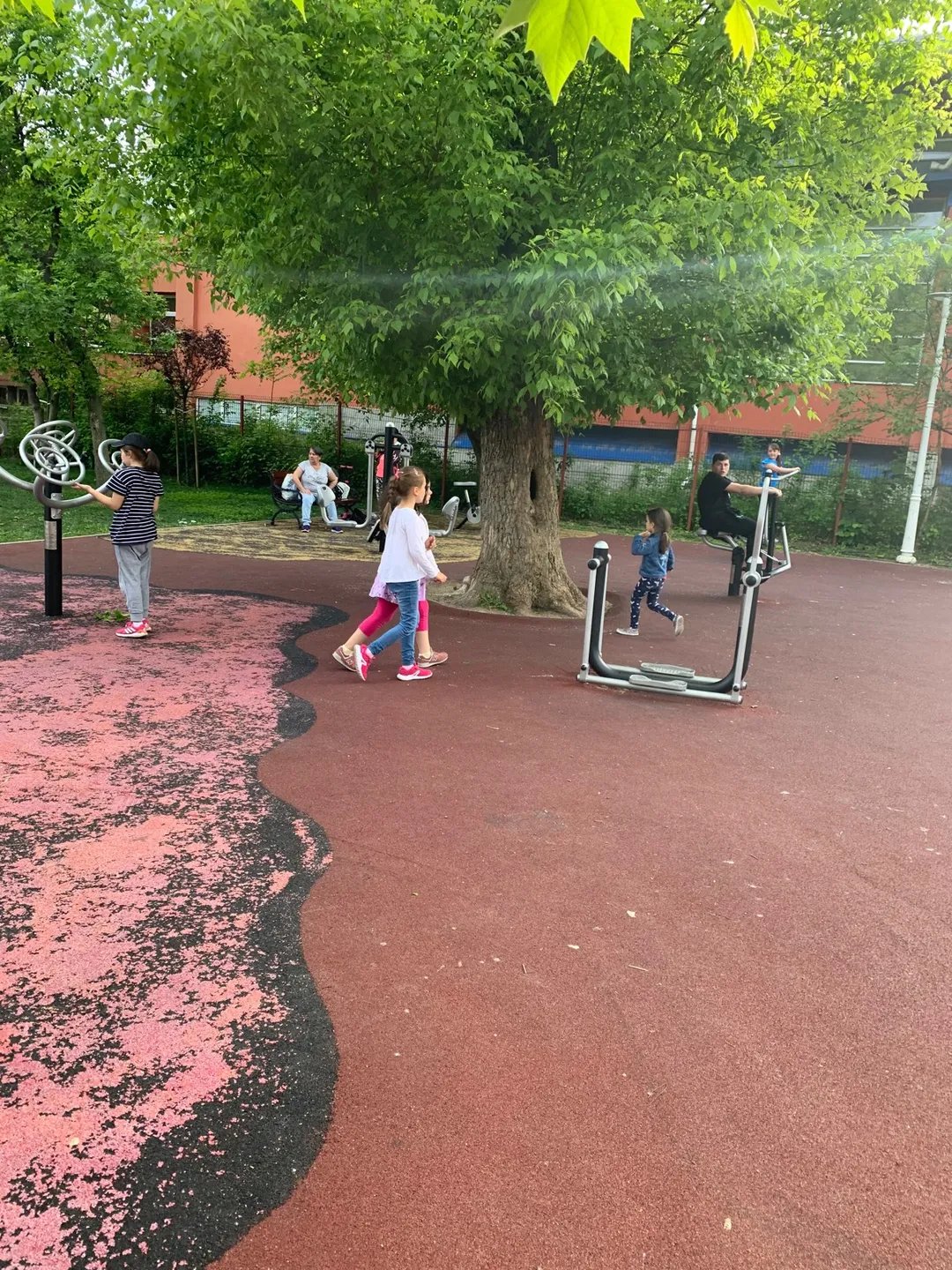 Barres de singe à Calisthenics Park at Bulevardul Lacul Tei, București – photo 3 sur 7