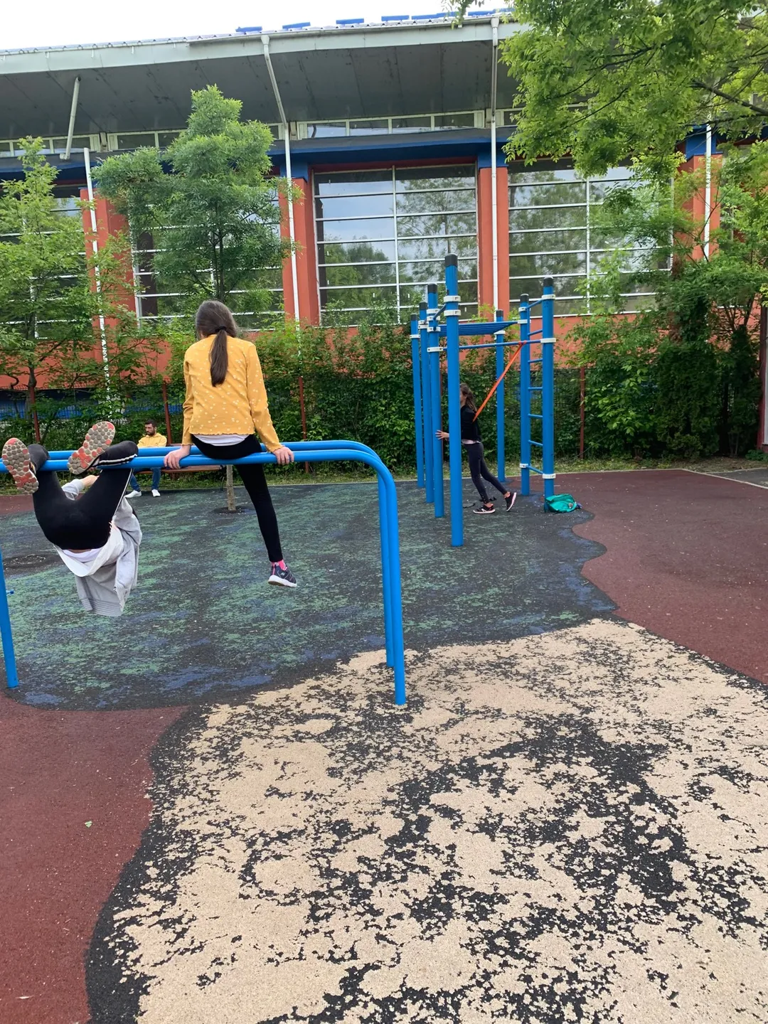 Barre de traction à Calisthenics Park at Bulevardul Lacul Tei, București – photo 1 sur 7