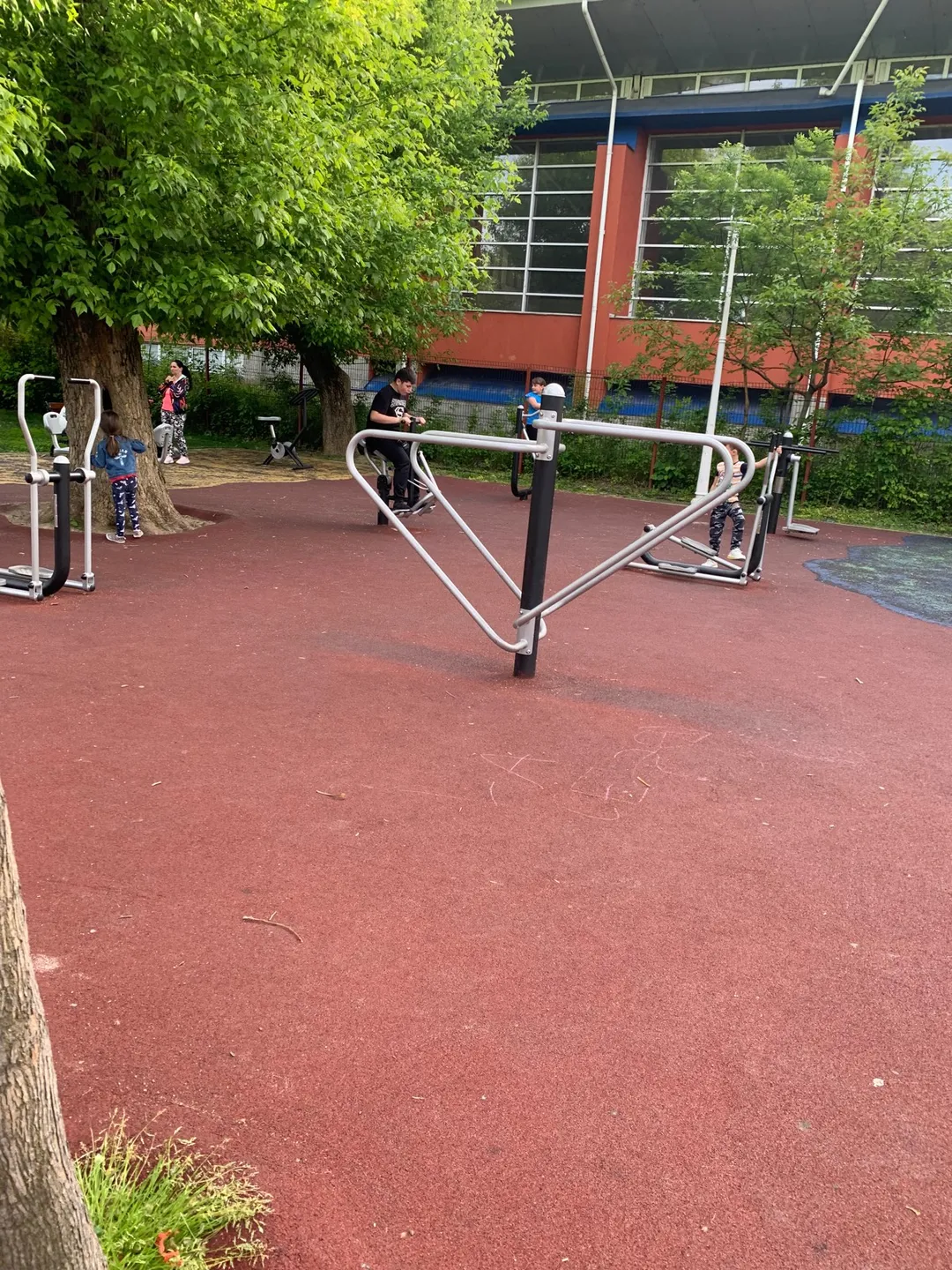 Barres parallèles à Calisthenics Park at Bulevardul Lacul Tei, București – photo 2 sur 7