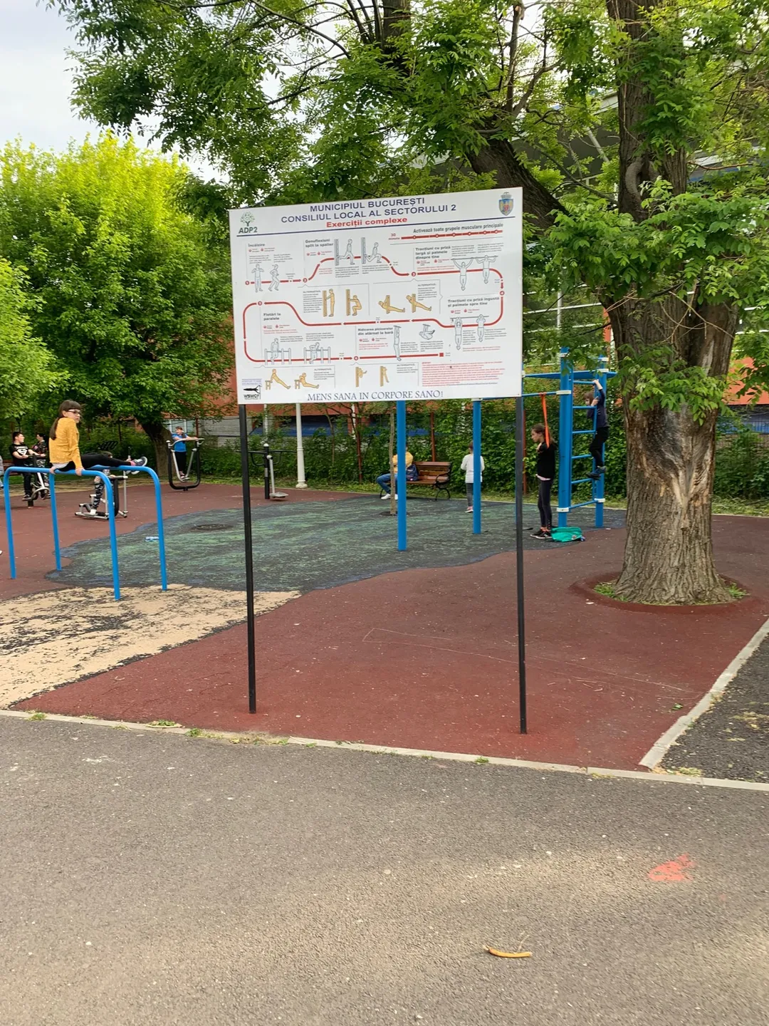 Skieur aérien à Calisthenics Park at Bulevardul Lacul Tei, București – photo 5 sur 7