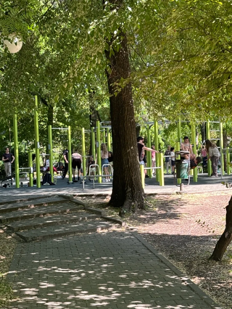 Marcheur aérien à Calisthenics Park at Aleea Magnoliei, București – photo 2 sur 3