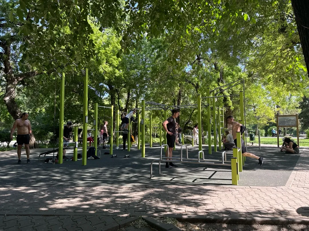 Skieur de fond à Calisthenics Park at Aleea Magnoliei, București – photo 1 sur 3