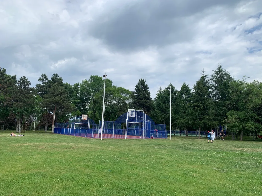 Barre de traction à Calisthenics Park at Calea Piscului, București – photo 1 sur 6