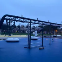 Calisthenics Park at Calea Piscului, București - thumbnail 5