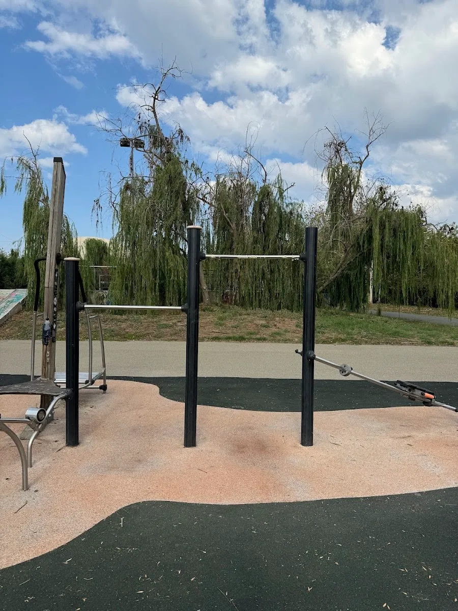 Monkey Bars at Calisthenics Park at Strada Nicopole, București – photo 3 of 3