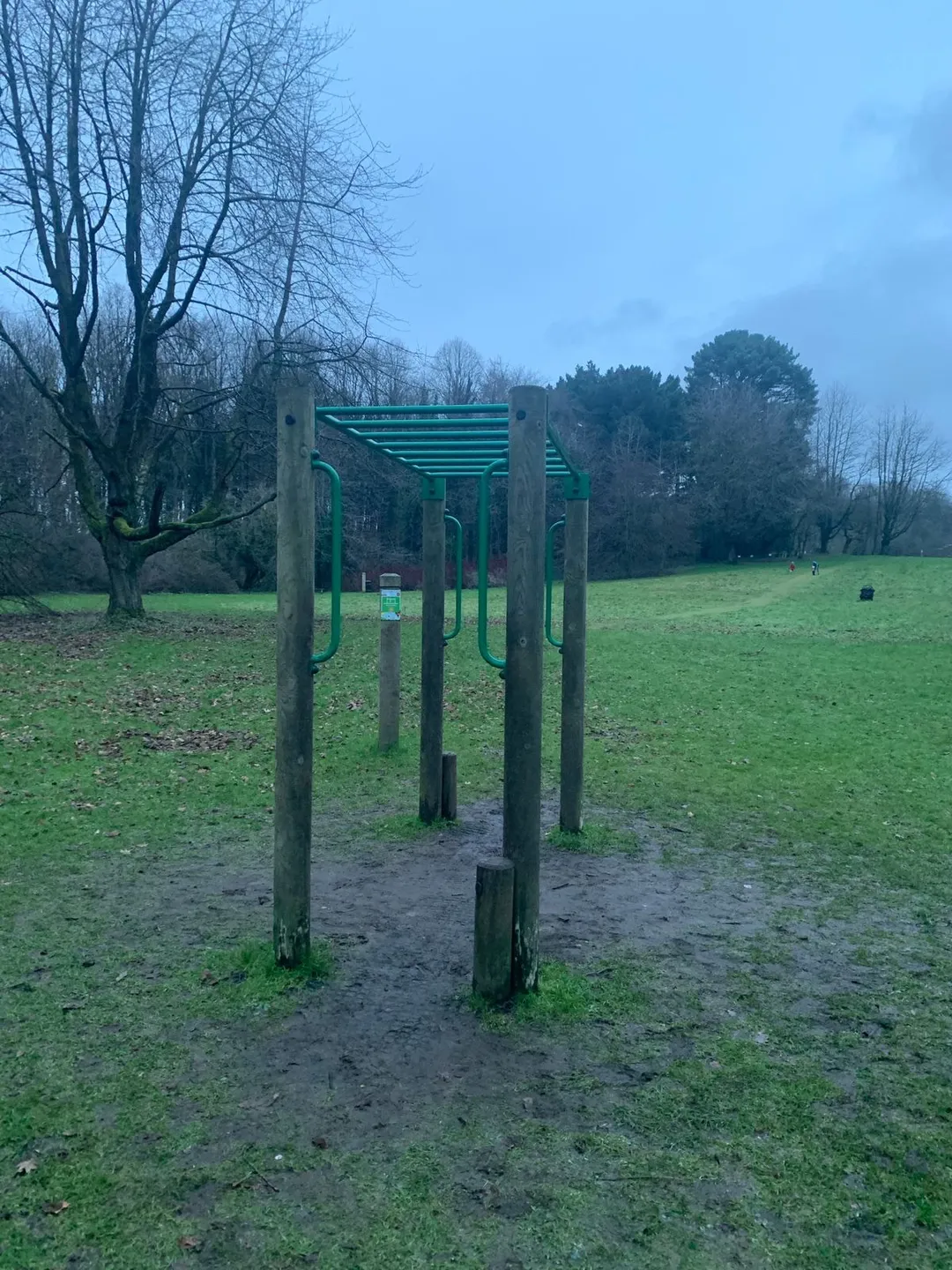 Monkey bar presso Calisthenics Park at Prince of Wales Avenue, Belfast – foto 4 di 4