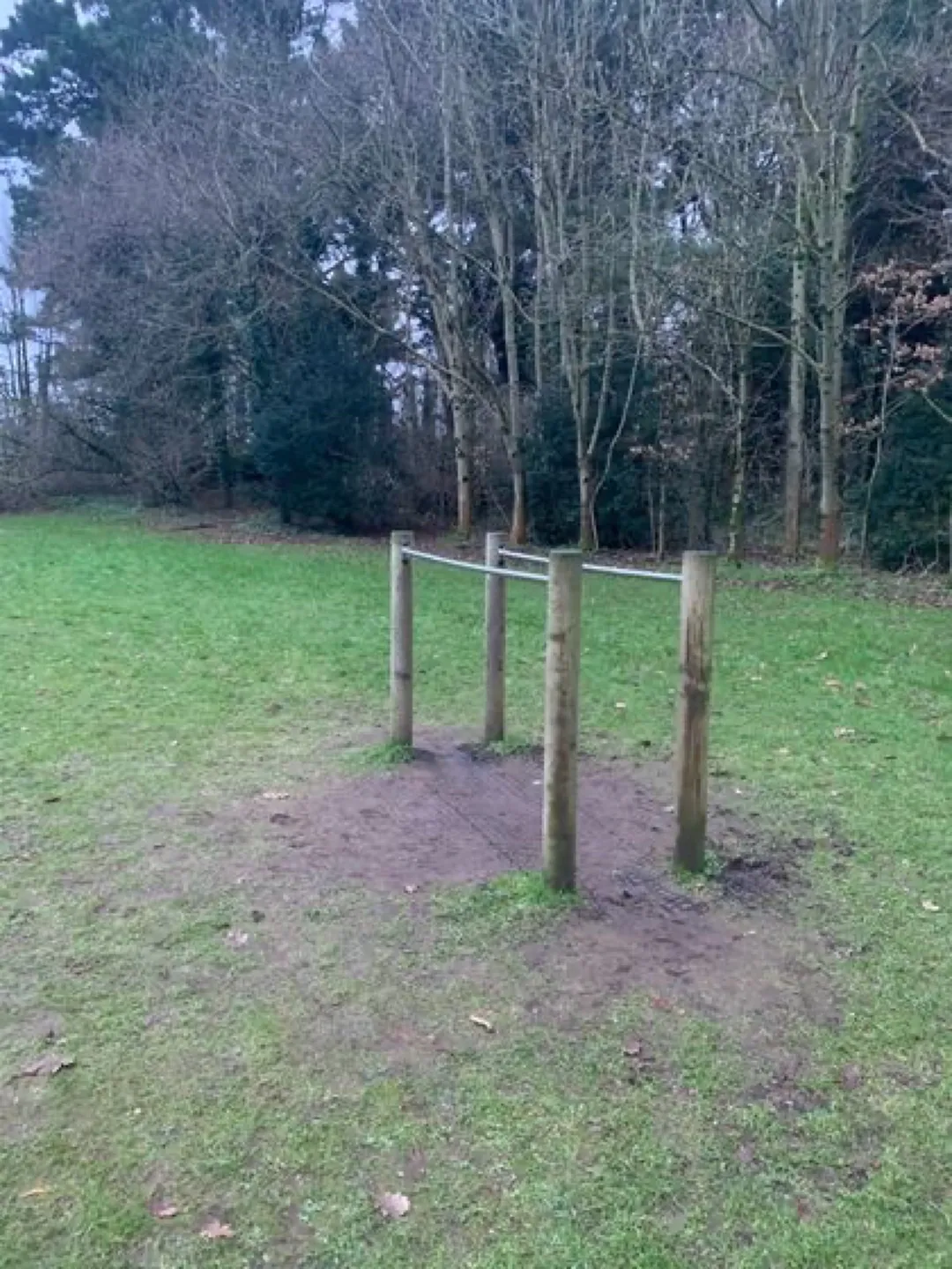 Spalliera presso Calisthenics Park at Prince of Wales Avenue, Belfast – foto 3 di 4