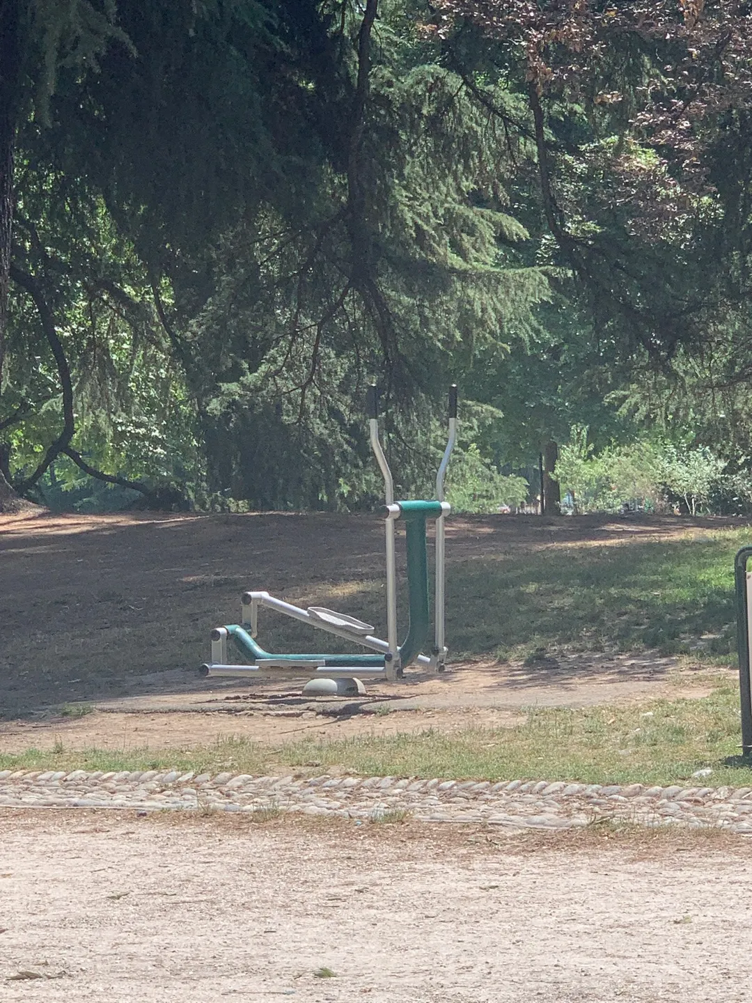 Лижний тренажер на майданчику Calisthenics Park at Viale Alessandro Puskin, Milano – фото 1 з 4