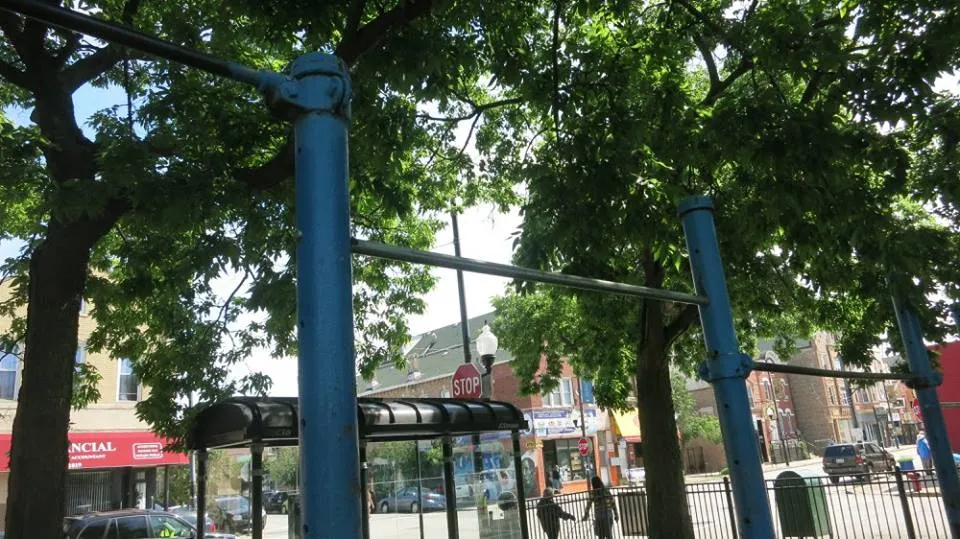Parallel Gym Bars at Calisthenics Park at South Wood Street, Chicago – photo 4 of 4