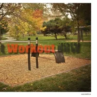 Calisthenics Park at Avenue Laurier Est, Montréal - thumbnail 2