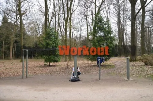 Pull Up Bar at Calisthenics Park at Am Rombergpark, Dortmund – photo 1 of 2