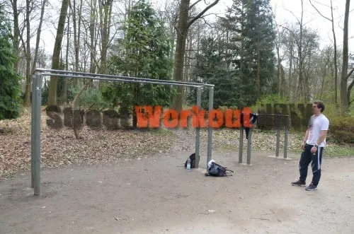 Parallel Gym Bars at Calisthenics Park at Am Rombergpark, Dortmund – photo 2 of 2