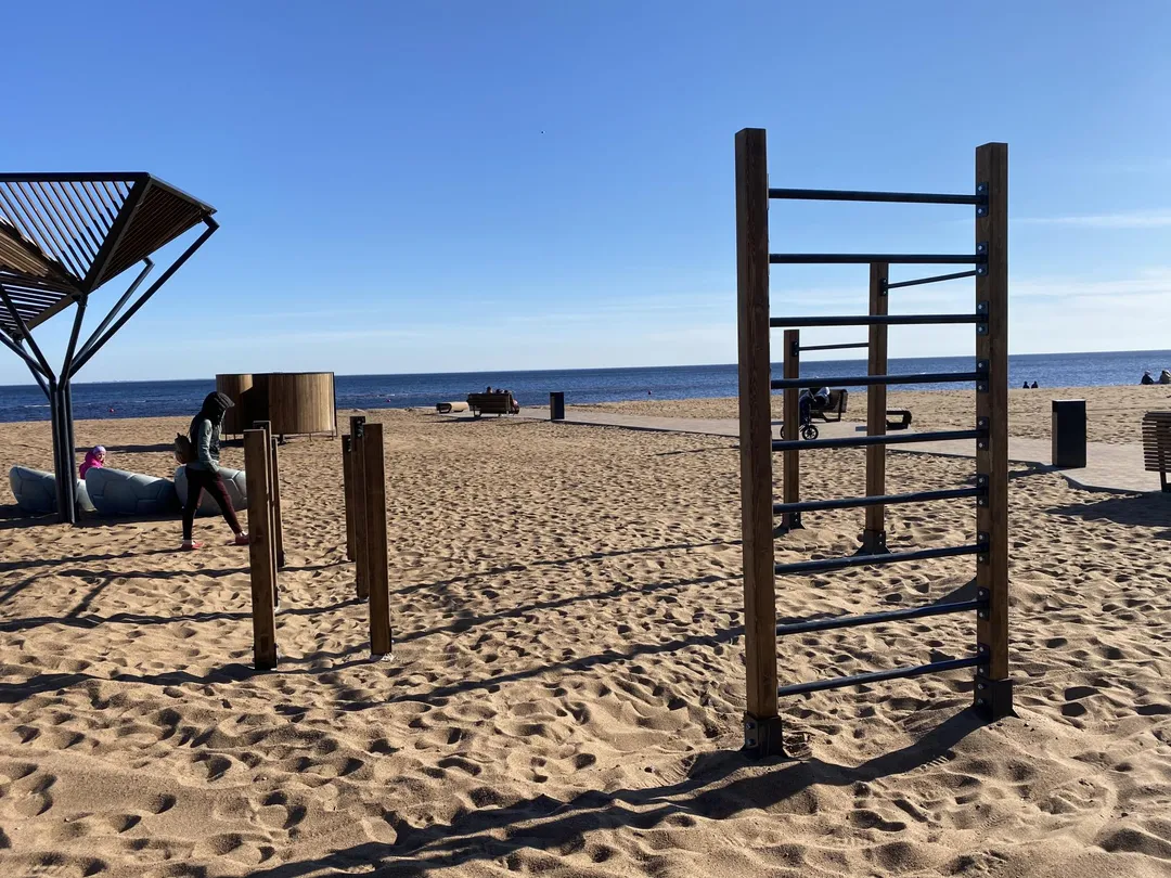 Spalliera presso Calisthenics Park at Театральная улица, Зеленогорск – foto 3 di 6